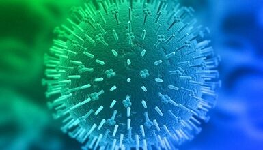 Vías de infección do virus do papiloma humano