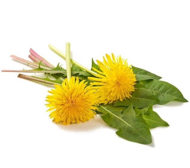 Diente de león para cauterización de papilomas